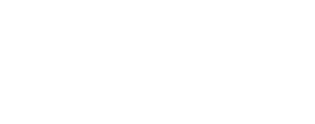 Panther Premium Logistics Logo